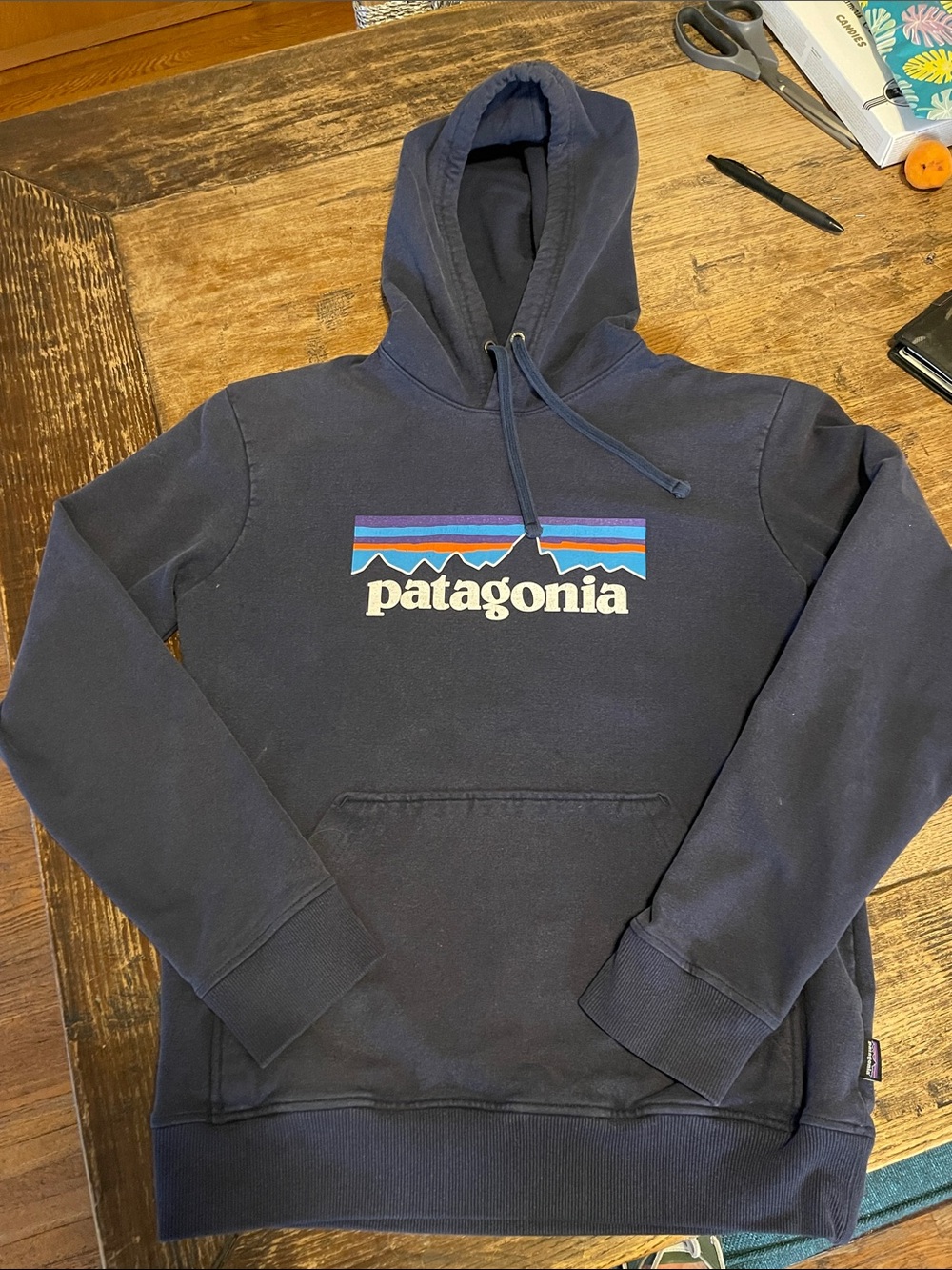Patagonia Navy Pullover Hoodie/Men’s S